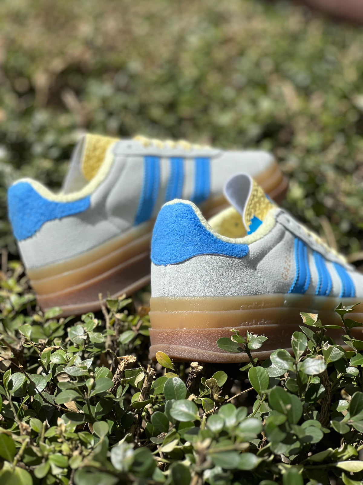 Adidas Gazelle Indoor “Bluebird/Yellow”