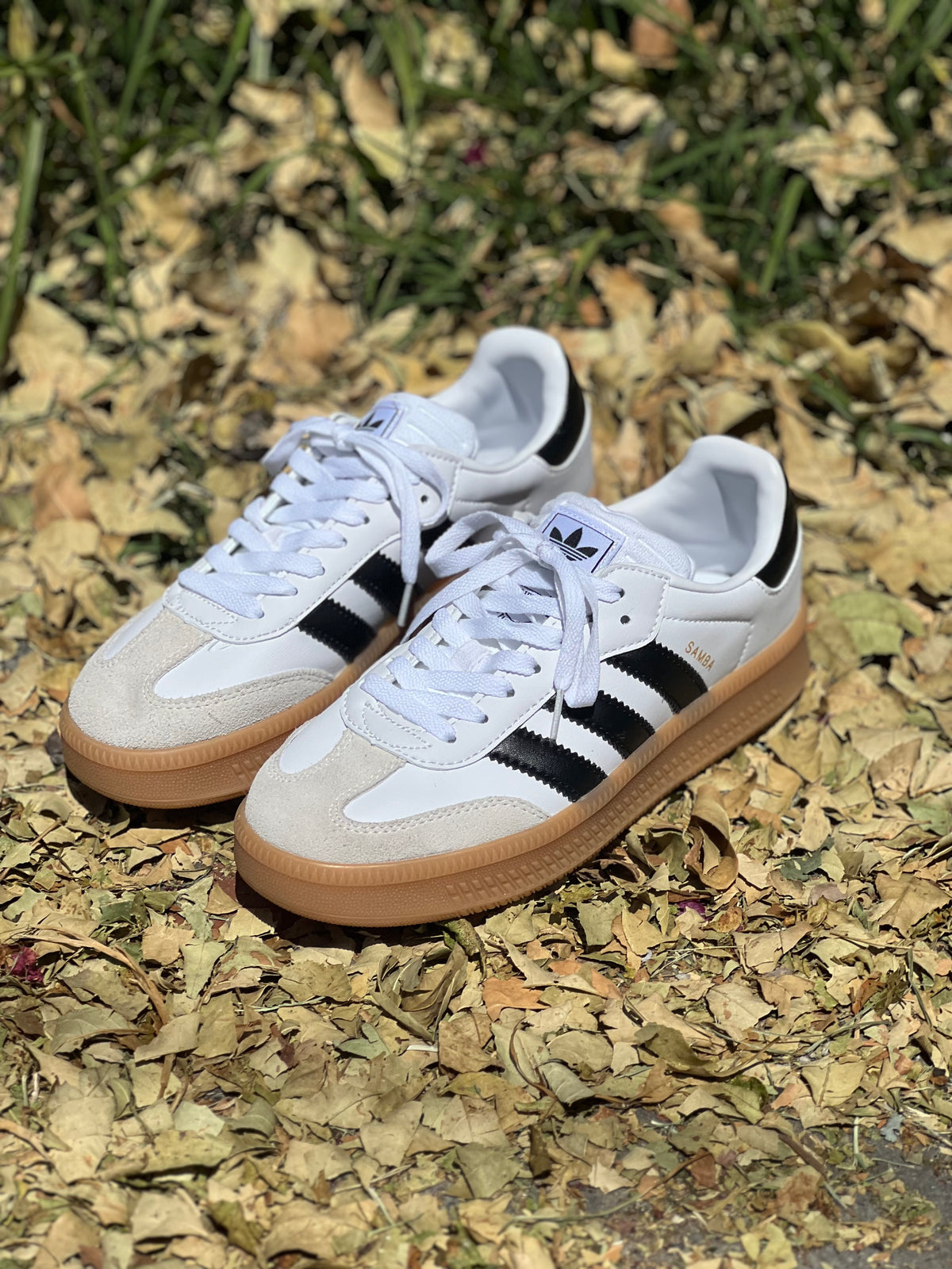 Adidas Sambarose