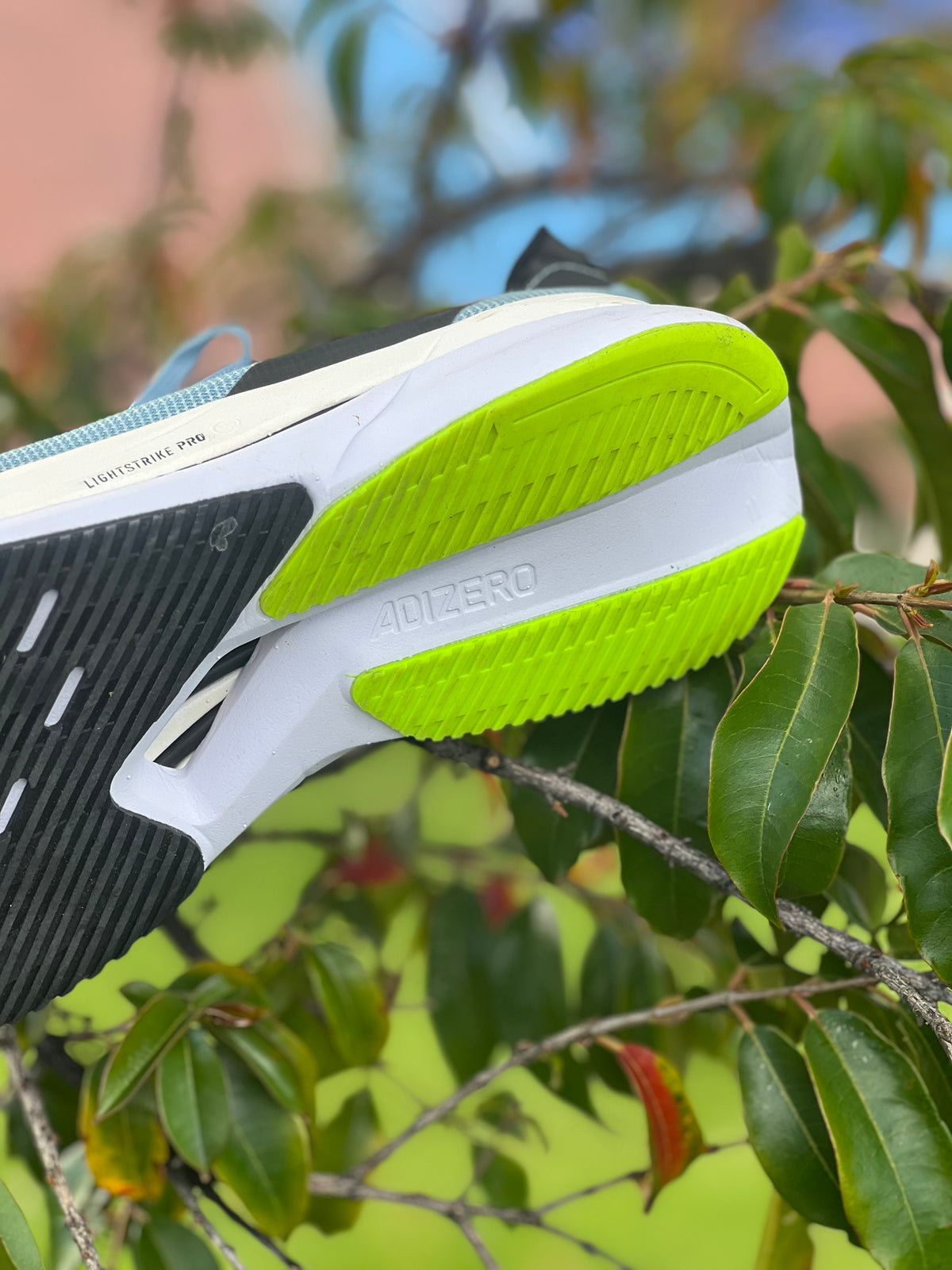 Adidas Adizero BOSTON 12